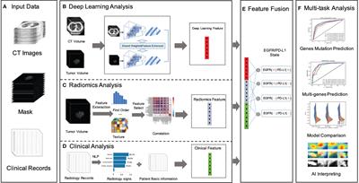 Predicting EGFR and PD-L1 Status in NSCLC Patients Using Multitask AI System Based on CT Images